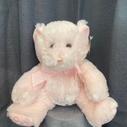 Teddy Bear Pink