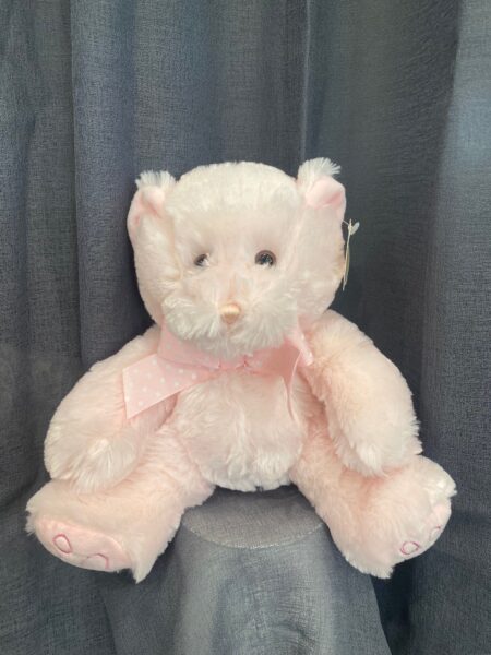 Teddy Bear Pink